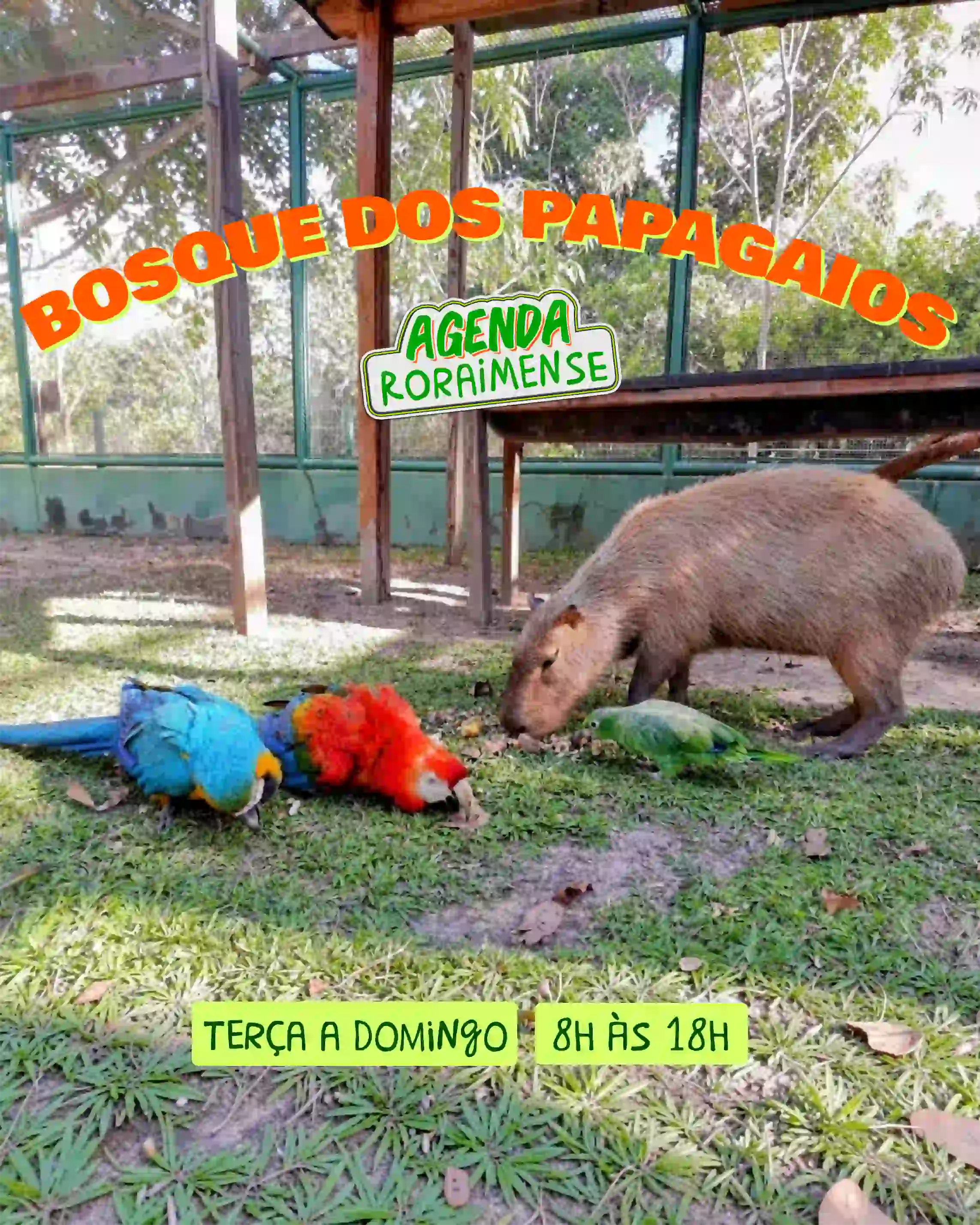 Bosque dos papagaios