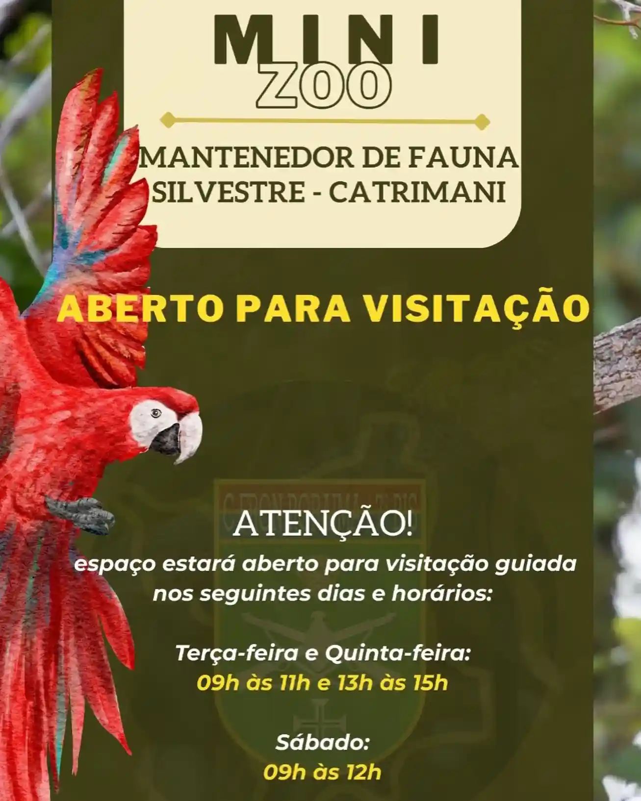Mini Zoo do 7º BIS